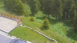 Zugang zur Laufbahn