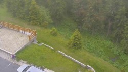 Zugang zur Laufbahn