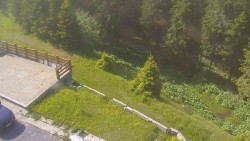 Přístup na běžeckou trať