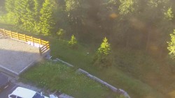 Přístup na běžeckou trať