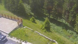Přístup na běžeckou trať