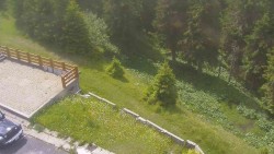 Přístup na běžeckou trať