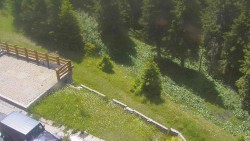 Přístup na běžeckou trať