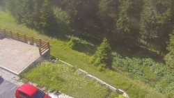 Přístup na běžeckou trať