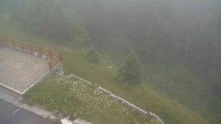 Přístup na běžeckou trať