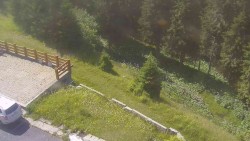 Přístup na běžeckou trať