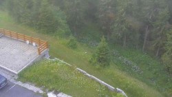 Přístup na běžeckou trať