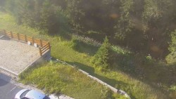 Zugang zur Laufbahn