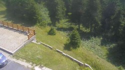 Přístup na běžeckou trať