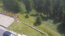 Zugang zur Laufbahn