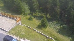 Zugang zur Laufbahn