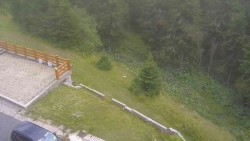 Zugang zur Laufbahn