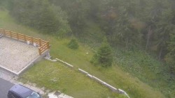 Zugang zur Laufbahn