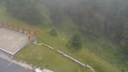 Zugang zur Laufbahn