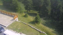 Přístup na běžeckou trať