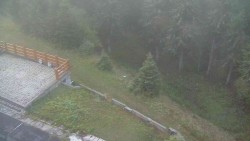 Zugang zur Laufbahn