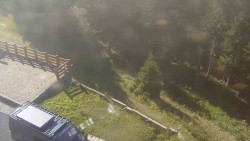 Zugang zur Laufbahn
