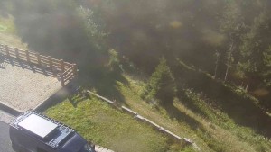 Sport Hotel Kurzovní - Access to the running track - 15.9.2026 v 09:55 Sport Hotel Kurzovní - Access to the running track - 15.9.2026 v 09:55