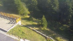 Zugang zur Laufbahn