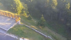Zugang zur Laufbahn