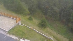 Zugang zur Laufbahn