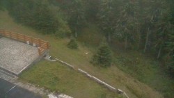 Zugang zur Laufbahn