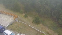 Zugang zur Laufbahn