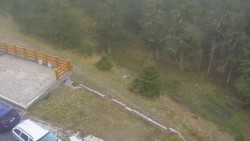 Zugang zur Laufbahn