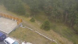 Zugang zur Laufbahn
