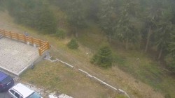 Zugang zur Laufbahn