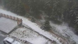 Zugang zur Laufbahn
