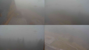 Snímek 7.11.2025 v 07:00