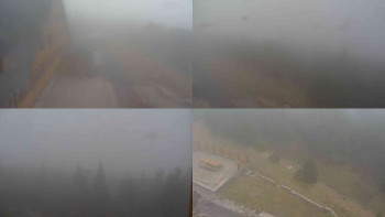 Snímek 7.11.2025 v 07:30