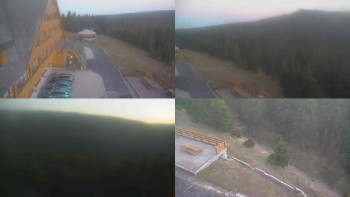 Snímek 7.11.2025 v 16:30