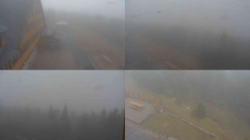 Snímek 9.11.2025 v 10:30