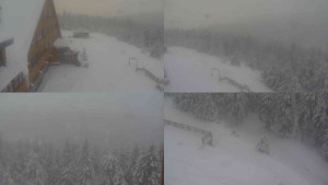 Sporthotel Kurzovní - Sdružený snímek - 24.2.2026 v 16:00 Sporthotel Kurzovní - Sdružený snímek - 24.2.2026 v 16:00