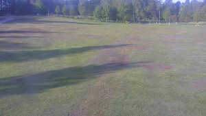 Ski klub RD Rýmařov - Areál ski klubu - 21.5.2025 v 07:00 Ski klub RD Rýmařov - Areál ski klubu - 21.5.2025 v 07:00