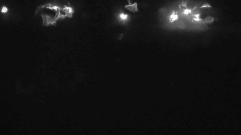 Snímek    26.10.2025 v 20:30
