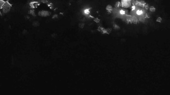 Snímek    27.10.2025 v 21:00