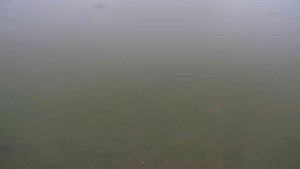 Ski klub RD Rýmařov - Areál ski klubu - 2.11.2025 v 13:00 Ski klub RD Rýmařov - Areál ski klubu - 2.11.2025 v 13:00