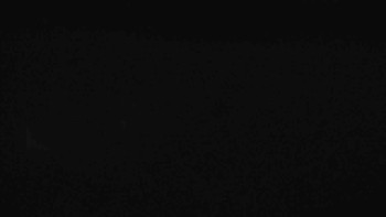 Snímek 7.11.2025 v 00:30