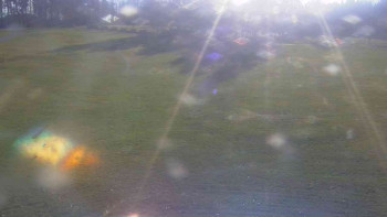 Snímek 7.11.2025 v 13:30