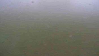 Snímek 9.11.2025 v 07:30