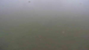 Ski klub RD Rýmařov - Areál ski klubu - 15.11.2025 v 07:30 Ski klub RD Rýmařov - Areál ski klubu - 15.11.2025 v 07:30