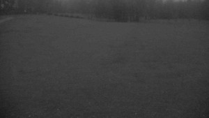 Ski klub RD Rýmařov - Areál ski klubu - 15.11.2025 v 16:30 Ski klub RD Rýmařov - Areál ski klubu - 15.11.2025 v 16:30