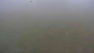 Ski klub RD Rýmařov - Areál ski klubu - 15.12.2025 v 11:30 Ski klub RD Rýmařov - Areál ski klubu - 15.12.2025 v 11:30