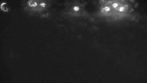 Ski klub RD Rýmařov - Areál ski klubu - 11.2.2026 v 02:00 Ski klub RD Rýmařov - Areál ski klubu - 11.2.2026 v 02:00