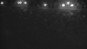 Ski klub RD Rýmařov - Areál ski klubu - 11.2.2026 v 04:00 Ski klub RD Rýmařov - Areál ski klubu - 11.2.2026 v 04:00