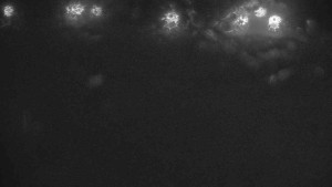 Ski klub RD Rýmařov - Areál ski klubu - 11.2.2026 v 05:30 Ski klub RD Rýmařov - Areál ski klubu - 11.2.2026 v 05:30