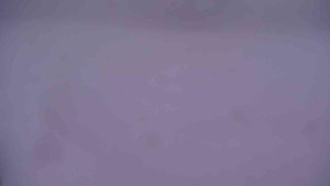 Ski klub RD Rýmařov - Areál ski klubu - 11.2.2026 v 07:00 Ski klub RD Rýmařov - Areál ski klubu - 11.2.2026 v 07:00